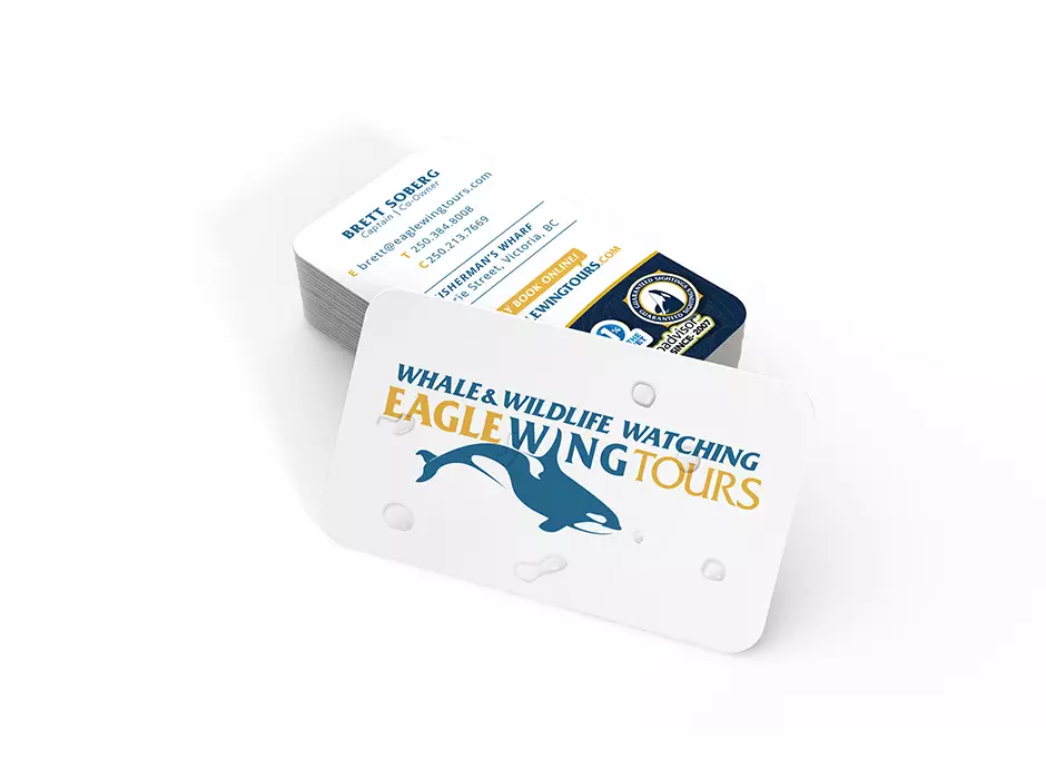 Eagle Wing Tours branding on stack of business cards